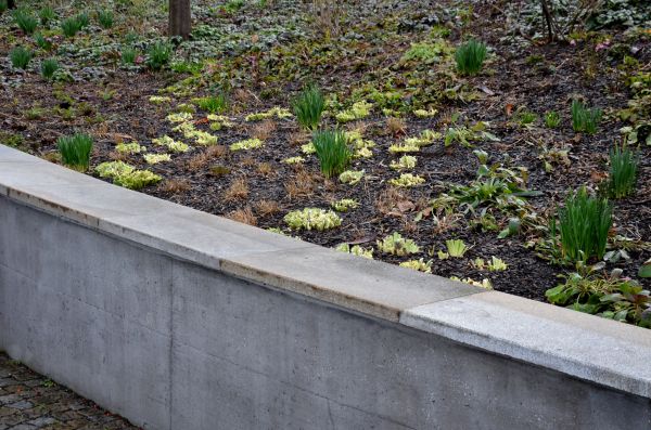 Concrete Wall Construction in Overland Park